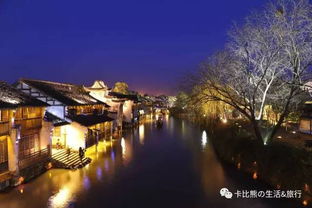 來過,便不曾離開