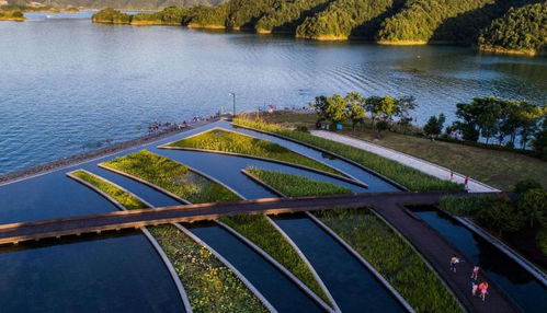 杭州千島湖旅游怪像,為何收費景點差,免費口碑爆棚