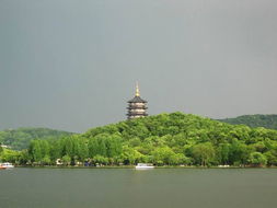 杭州西湖花滿池