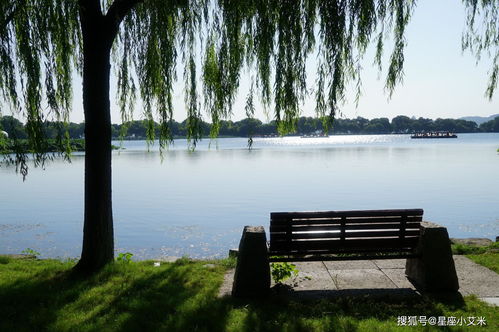 到了3月中旬,迎來好運勢,財神相伴,富貴安康的4個生肖