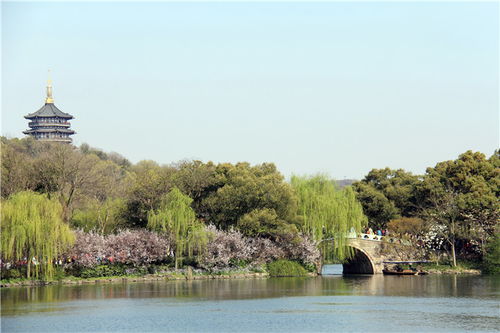 星湖不輸西湖,端州能賽杭州嗎 肇慶從旅游城市向城市旅游嬗變