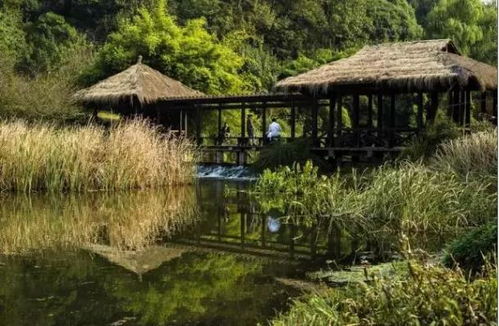 杭州旅游文化之行 茅家埠、北山路、云棲竹徑與楊梅嶺的江南韻味