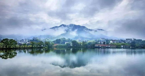 大數據洞察 莫干山民宿產業布局、產品趨勢與杭州旅游聯動發展