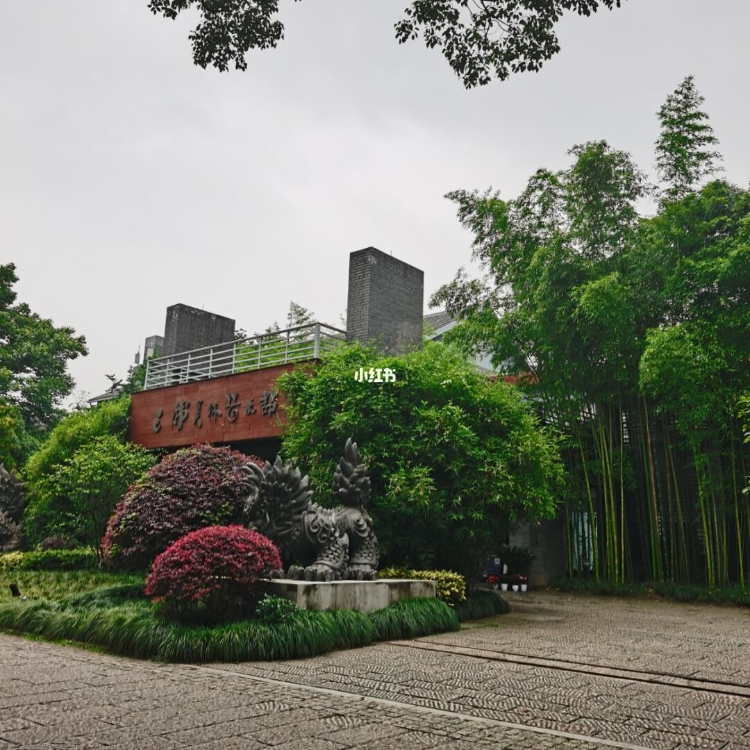 杭州植物園菊花展踩坑避雷攻略