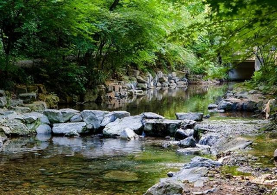 杭州旅游全攻略 詩(shī)畫江南，人間天堂的完美之旅