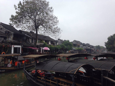 杭州秋游記 江南秋韻，西子湖畔的詩(shī)意時(shí)光