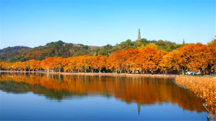 春節(jié)游杭州，這四道年味佳肴不可錯(cuò)過(guò)