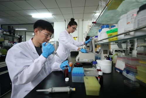 探訪北方粳稻育種栽培技術(shù)國家地方聯(lián)合工程實驗室 遼寧